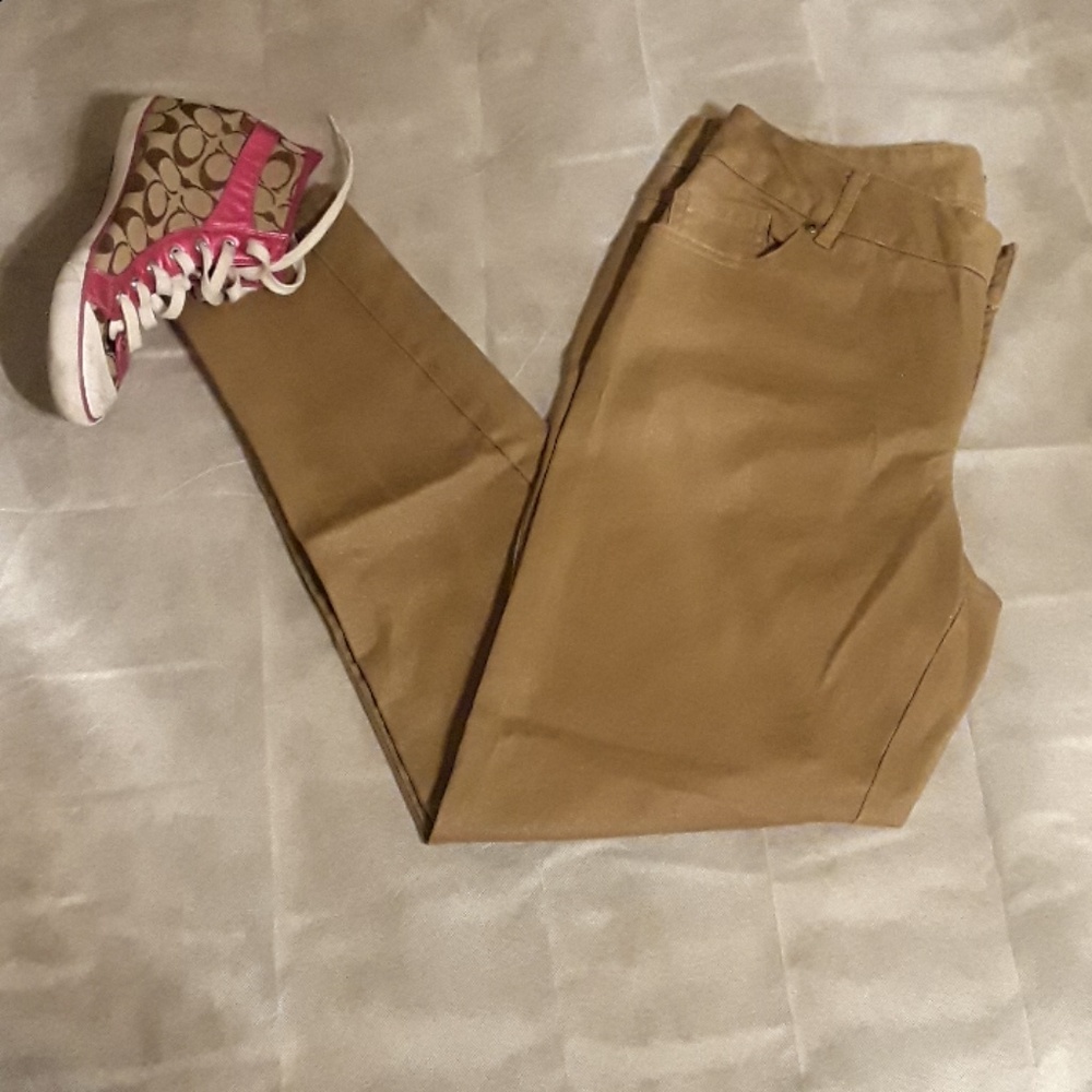 LANE BRYANT SHIMMERY GOLD PANTS